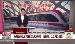 新闻夜班新闻爆料怎么写,揭秘事件背后真相