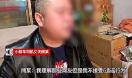 被打女司机爆料视频大全,还原现场，引发社会关注